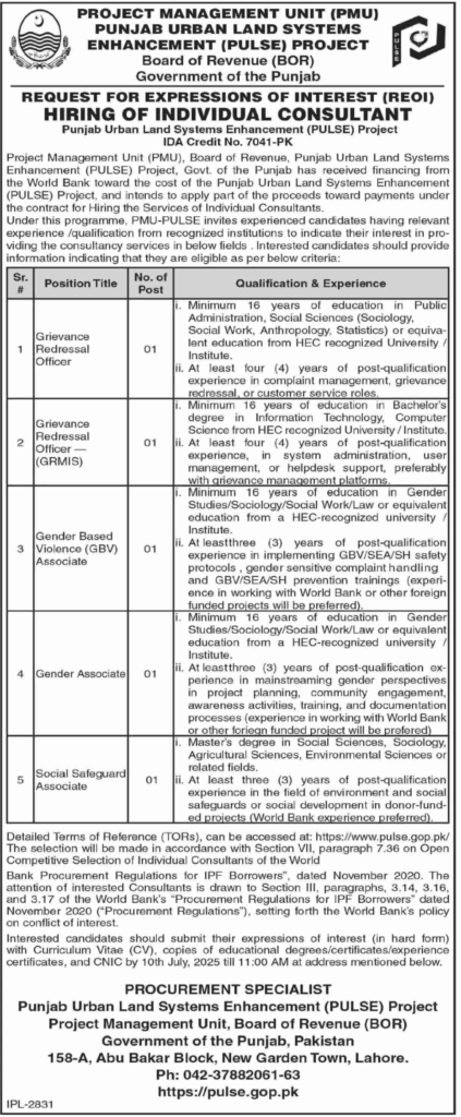 Board of Revenue Government of Punjab Jobs June 2025 1 Board of Revenue